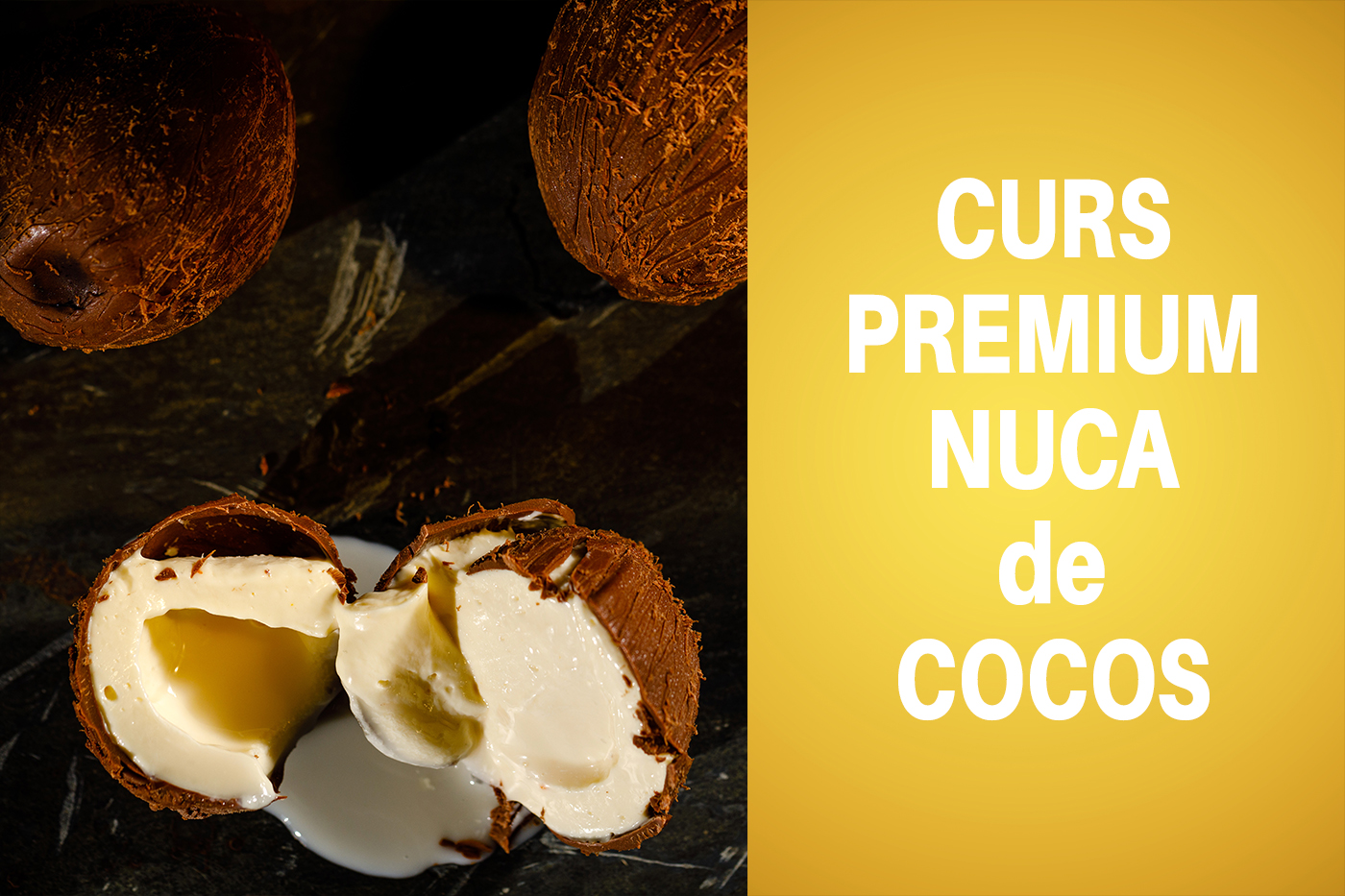 Curs Premium – Nuca de Cocos