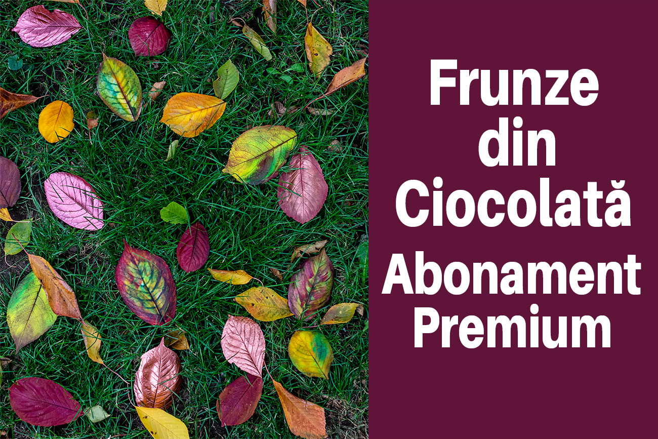 Curs Premium – Frunze din Ciocolată
