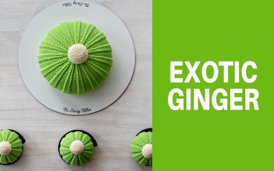 Tort entremet căciulă și monoporții căciuli – Exotic Ginger Cake
